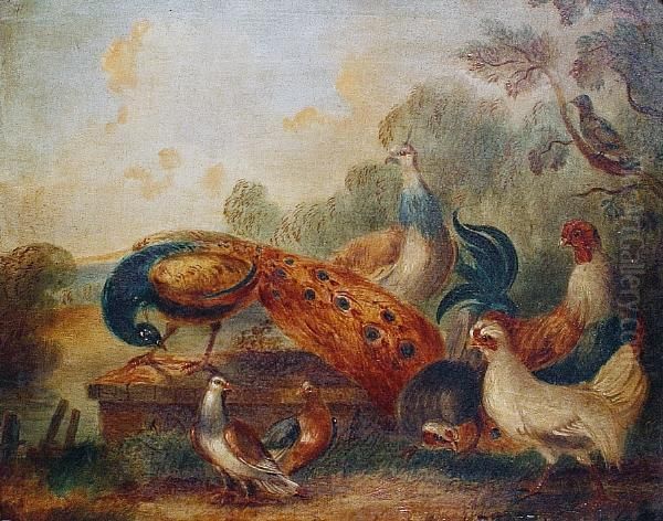 Peacocks Oil Painting by Pieter III Casteels