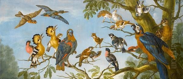 A Concert Of Birds Oil Painting by Pieter III Casteels