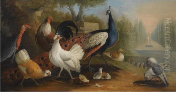 A Peacock, A Turkey, Chickens And Doves In A Garden Setting Oil Painting by Pieter III Casteels