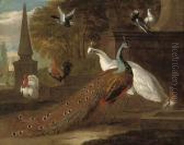 A Peacock, A Peahen, A Turkey, A Cockeral And Pigeons In Aclassical Landscape Oil Painting by Pieter III Casteels