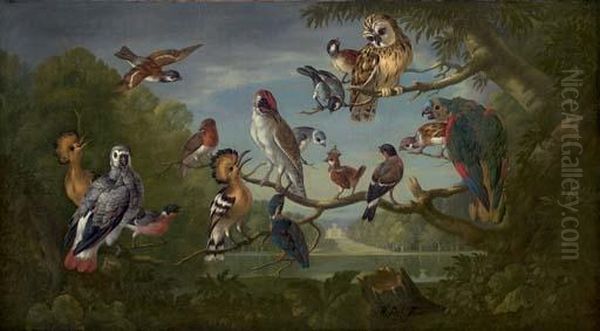 A Concert Of Birds Oil Painting by Pieter III Casteels