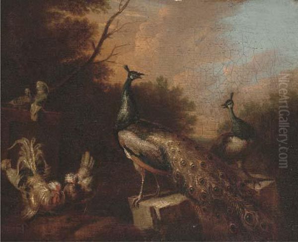 Peacocks And Chickens In A Landscape Oil Painting by Pieter III Casteels