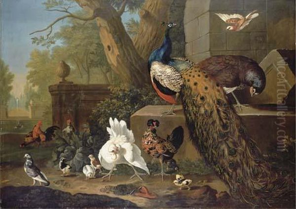 A Peacock And Peahen, Cockerels, Hens, A Pigeon And Other Birds Inan Ornamental Park Oil Painting by Pieter III Casteels