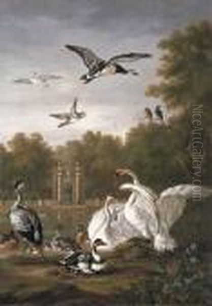 A Park With Swans, Ducks And Other Birds By A Pond Oil Painting by Pieter III Casteels