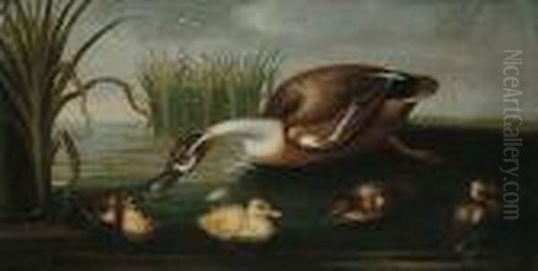 A Duck And Her Four Ducklings In A Stream Amongst Reeds Oil Painting by Pieter III Casteels