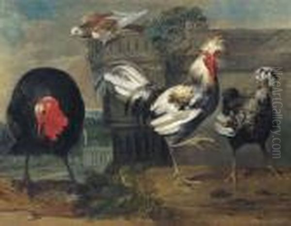 Two Crested Chickens, A Turkey And A Dove In An Architecturallandscape Oil Painting by Pieter III Casteels