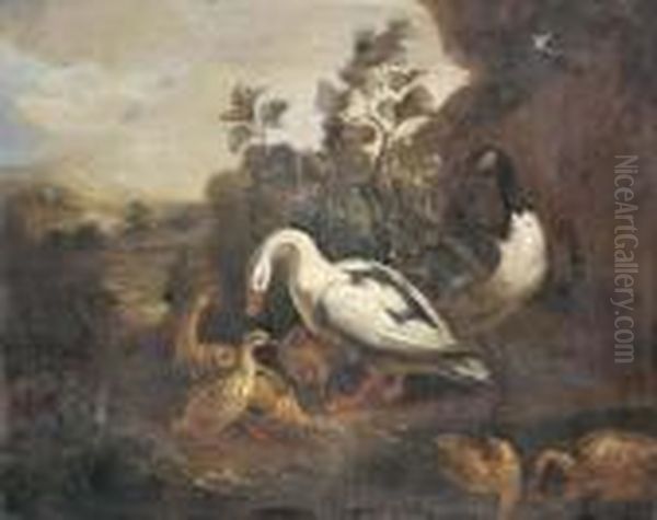 Ducks And A Goose In A Landscape Oil Painting by Pieter III Casteels