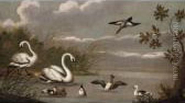 A River Landscape With Swans And Ducks Oil Painting by Pieter III Casteels