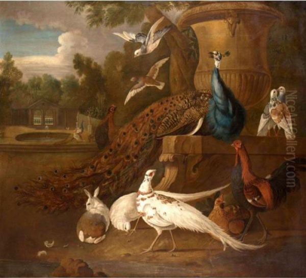 Peacocks, White Pheasants, 
Doves, A Hen, A Cockerel, A Rabbit Together In A Parkland Landscape Oil Painting by Pieter III Casteels