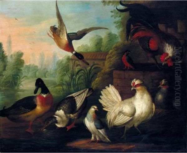 A Still Life With Chickens, Ducks, A Kingfisher And A Pigeon In A River Landscape Oil Painting by Pieter III Casteels