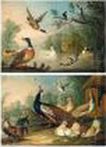 Peacock, Peahen And Other Fowl In A Landscape Oil Painting by Pieter III Casteels