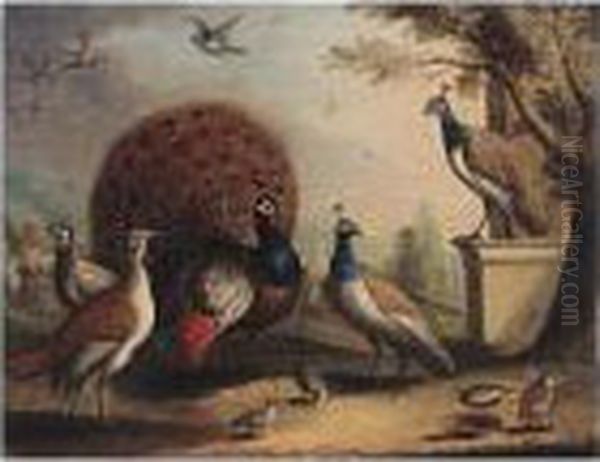 A Peacock And Peahens In An Ornamental Landscape Oil Painting by Pieter III Casteels