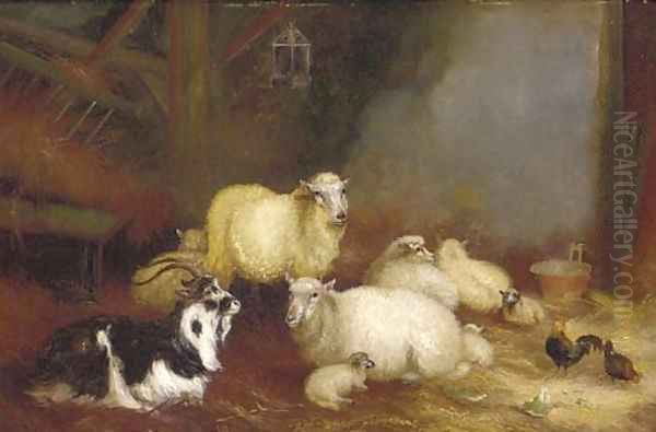 Sheep, chickens and a goat in a barn Oil Painting by A. Jackson