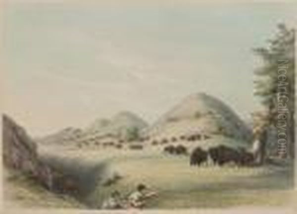 Buffalo Hunt, Approaching In A Ravine, No. 11 Oil Painting by George Catlin