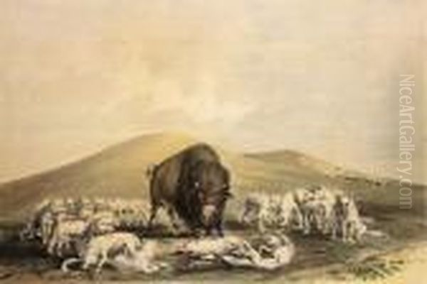 Buffalo Hunt, Pl. 10, From North American Indian Portfolio Oil Painting by George Catlin