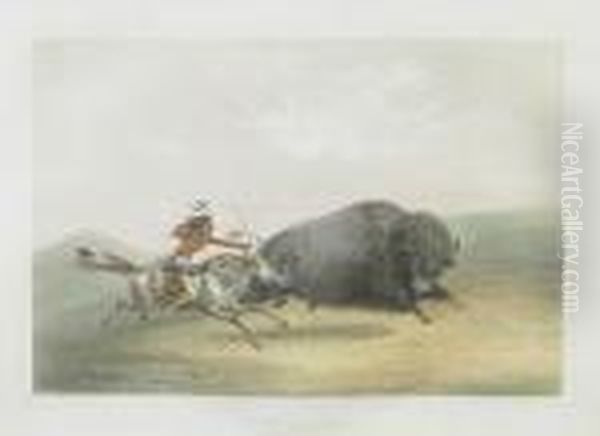 Buffalo Hunt Chase, Pl. 5 Oil Painting by George Catlin