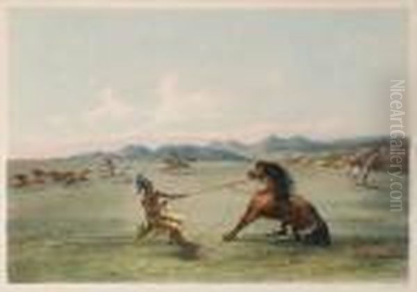 Title: Catching The Wild Horse Oil Painting by George Catlin