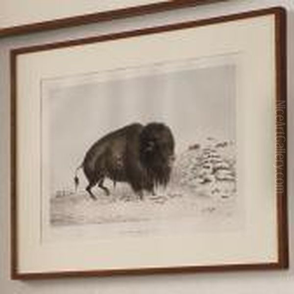 Wounded Buffalo Bull Oil Painting by George Catlin