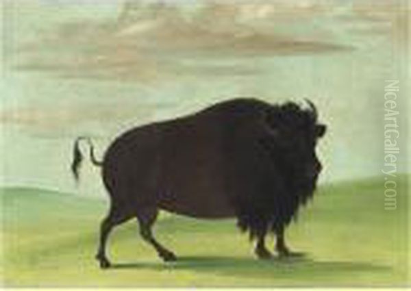 - Oil Painting by George Catlin