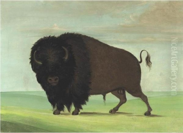 - Oil Painting by George Catlin