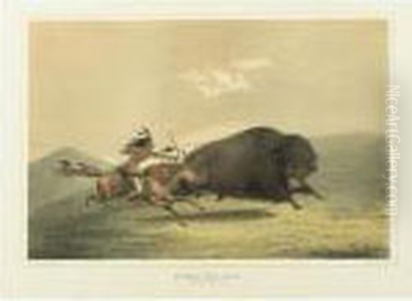 Buffalo Hunt, Chase; Buffalo Hunt, Chase And Antelope Shooting Oil Painting by George Catlin