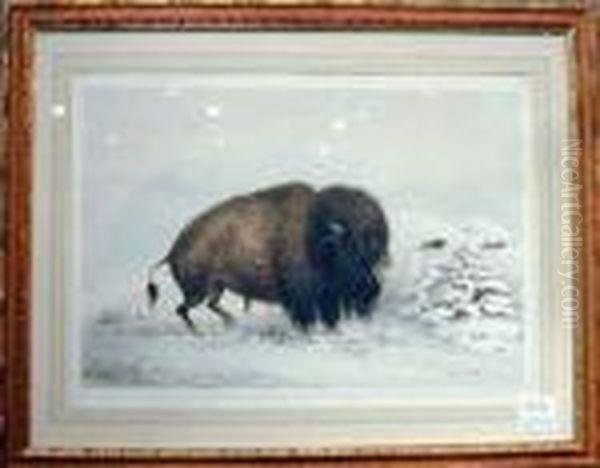 Buffalo Hunt Oil Painting by George Catlin