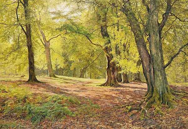 In the Beechwoods Oil Painting by William Samuel Jay