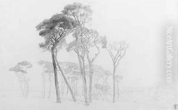 Umbrella pines in the Campagna near Rome, Italy Oil Painting by Harry John Johnson