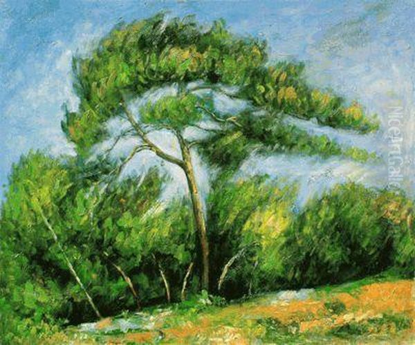 The Great Pine Oil Painting by Paul Cezanne