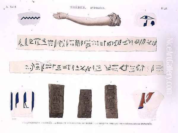 Illustrations of Hieroglyphics and the arm of a mummy from Hypogees Oil Painting by Jomard