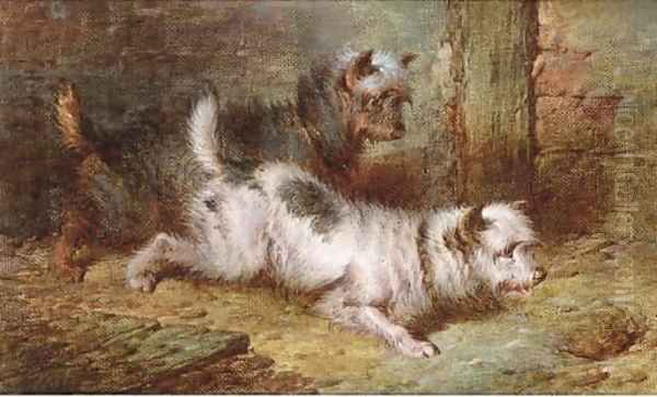 Terriers ratting by Paul Jones