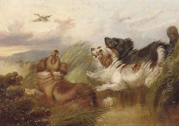 Spaniel putting a mallard up by Paul Jones