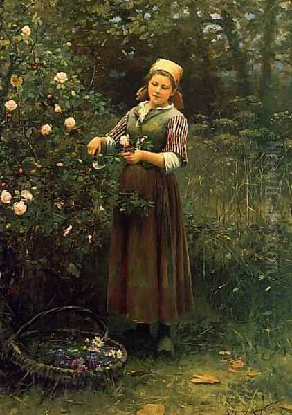 Cutting Roses Oil Painting by Daniel Ridgway Knight