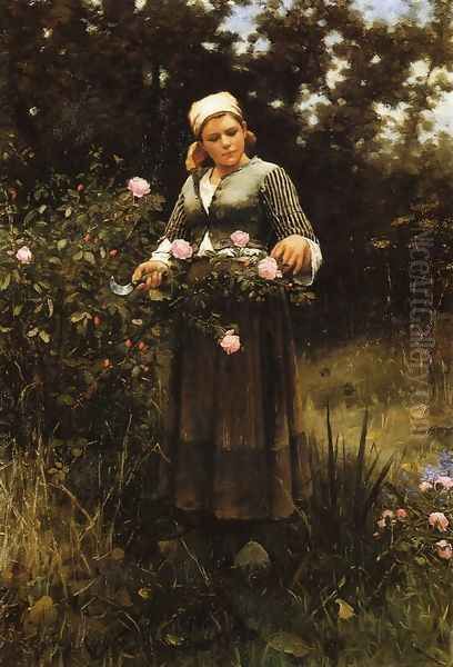 Gathering Roses Oil Painting by Daniel Ridgway Knight