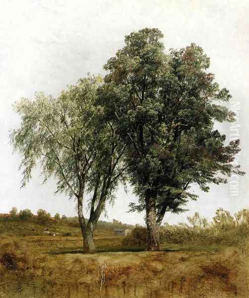 A Study Of Trees Oil Painting by John Frederick Kensett