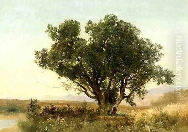 The Front Range, Colorado Oil Painting by John Frederick Kensett