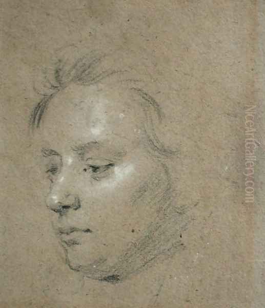 Sketch of the Head of as Young Boy Oil Painting by Sir Godfrey Kneller