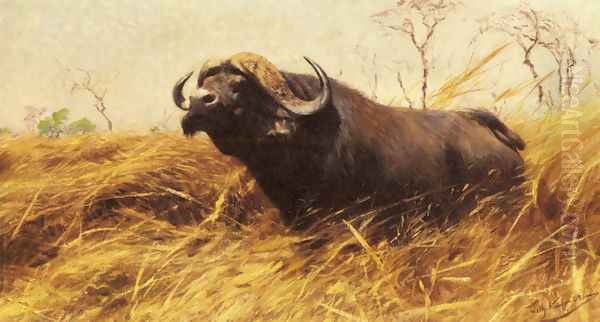 An African Buffalo Oil Painting by Wilhelm Kuhnert