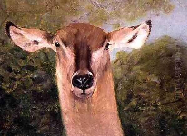 Head of an Antelope Oil Painting by Wilhelm Kuhnert