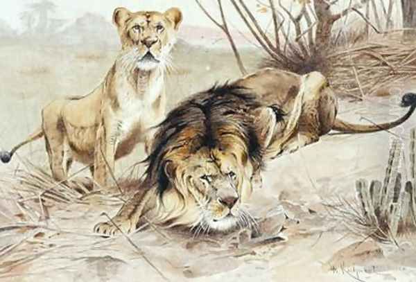 Lion Oil Painting by Wilhelm Kuhnert