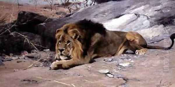 Lion Reclining in a Rocky Landscape Oil Painting by Wilhelm Kuhnert