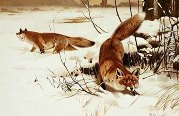 Fox Oil Painting by Wilhelm Kuhnert