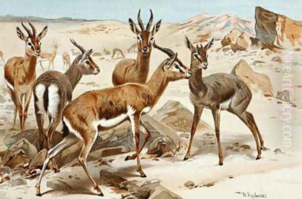 Gazelles Oil Painting by Wilhelm Kuhnert