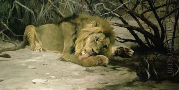 Lion Reclining in a Landscape Oil Painting by Wilhelm Kuhnert