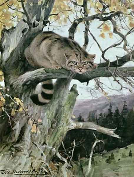 Wildcat in a Tree Oil Painting by Wilhelm Kuhnert