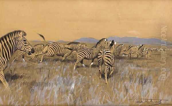 Herd of Zebra Oil Painting by Wilhelm Kuhnert