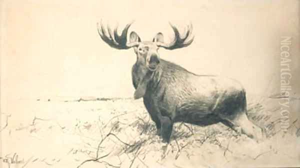 Elk Oil Painting by Wilhelm Kuhnert