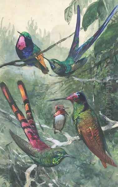 Wildlife and ornithological studies Oil Painting by Wilhelm Kuhnert