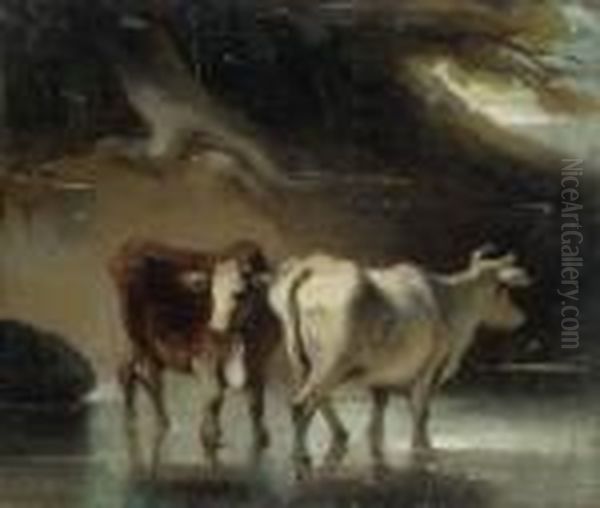 Cattle At A Pool Oil Painting by George Chinnery