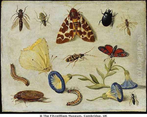 Insects Oil Painting by Jan van Kessel